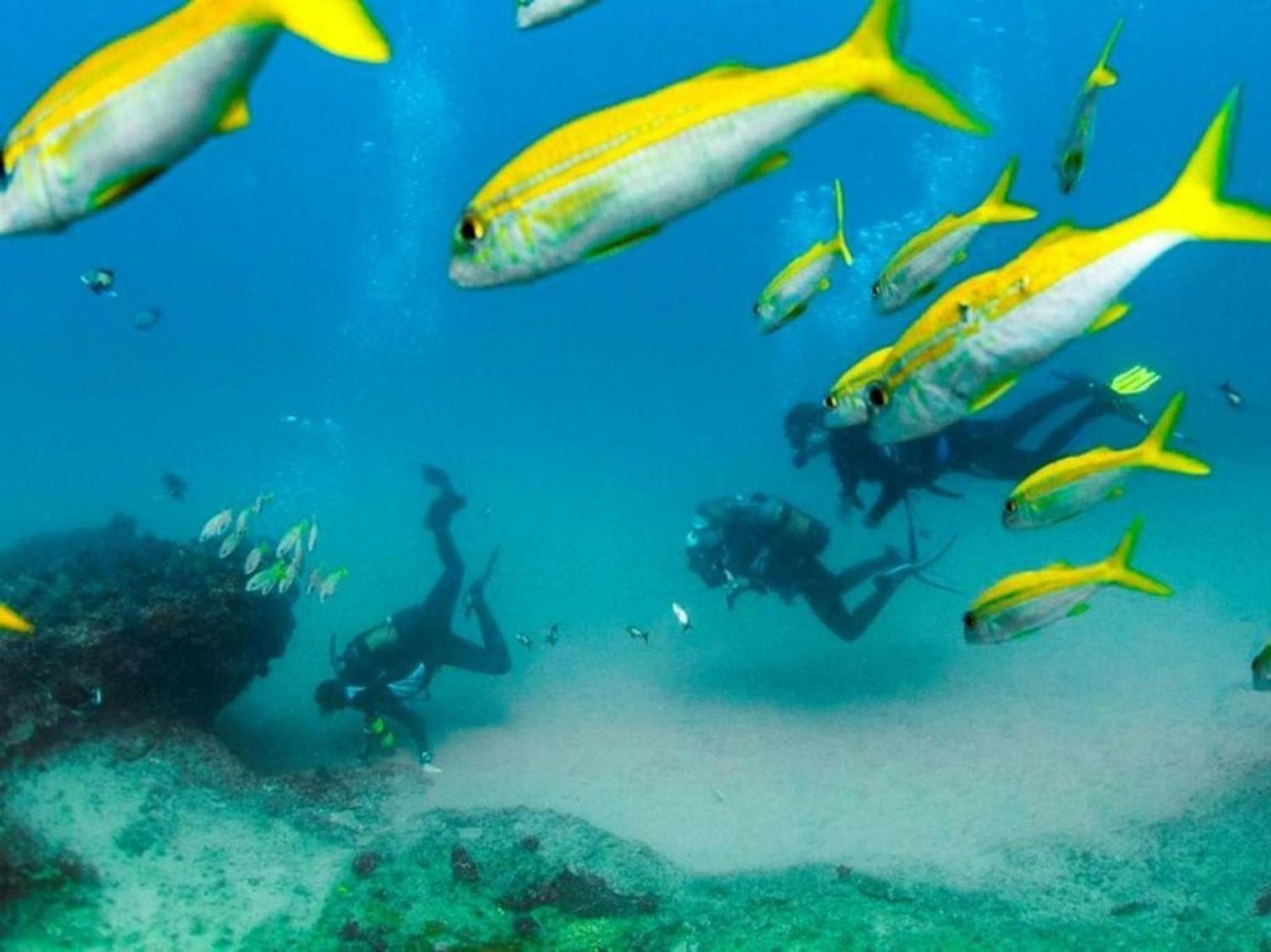 Devocean Eco Adventure Lodge Ponta do Ouro Luaran gambar