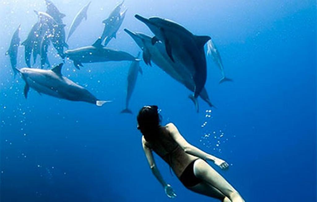 Devocean Eco Adventure Lodge Ponta do Ouro Luaran gambar
